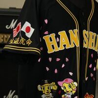 阪神タイガースのユニフォーム刺繍ー背中の虎の迫力が凄いっ🐯のサムネイル